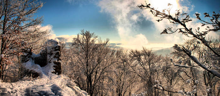 Lookout from Castle Ruins