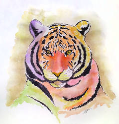 Watercolor Tiger