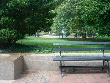 Park Bench