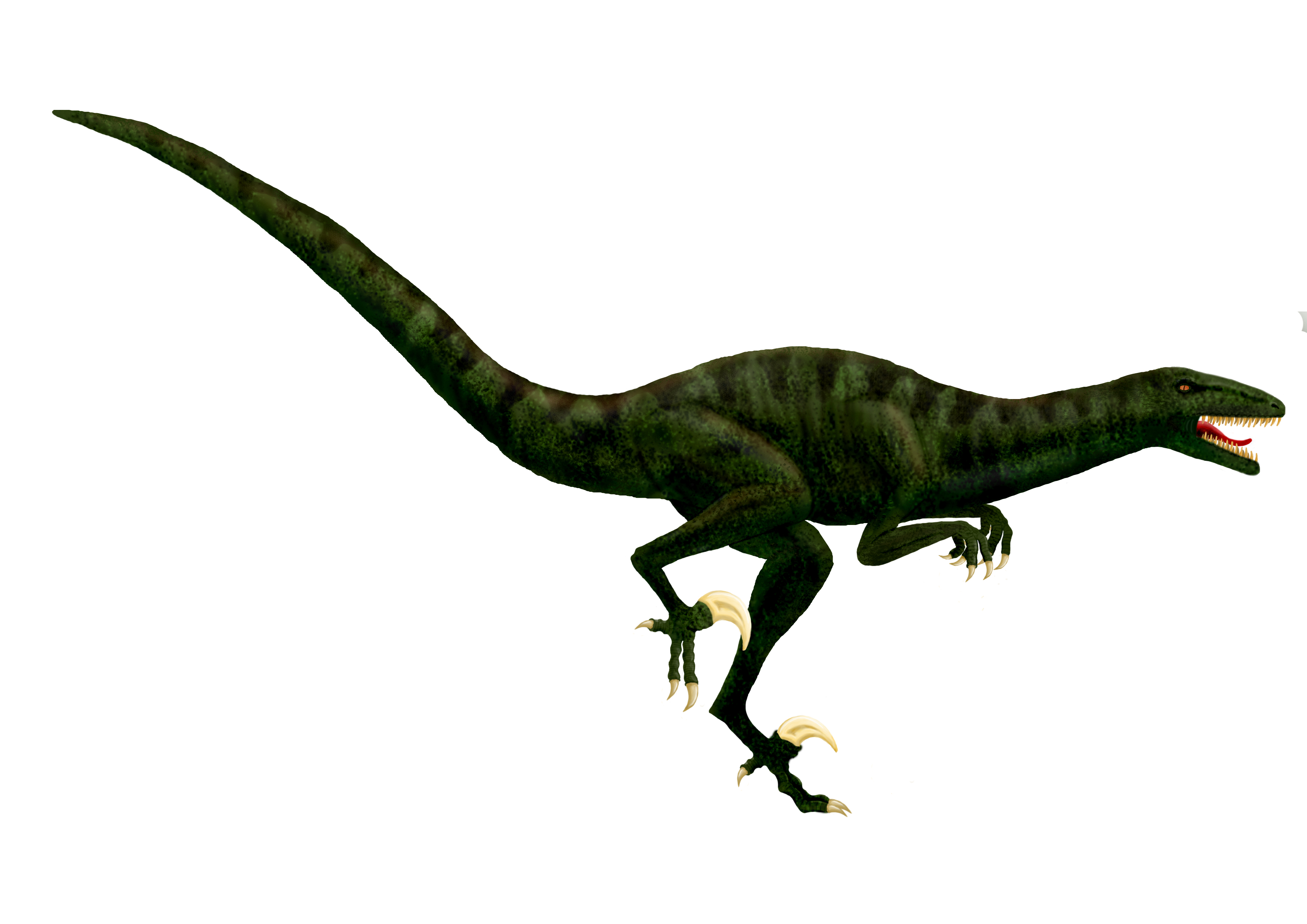 megaraptor by Elenwen