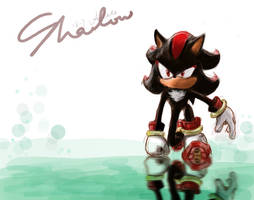 Shadow the hedgehog-1