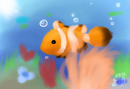 Goldfish Wonders