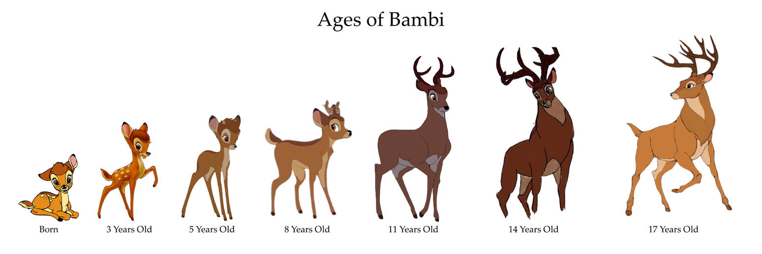 Ages of Bambi by BambiWorld on DeviantArt