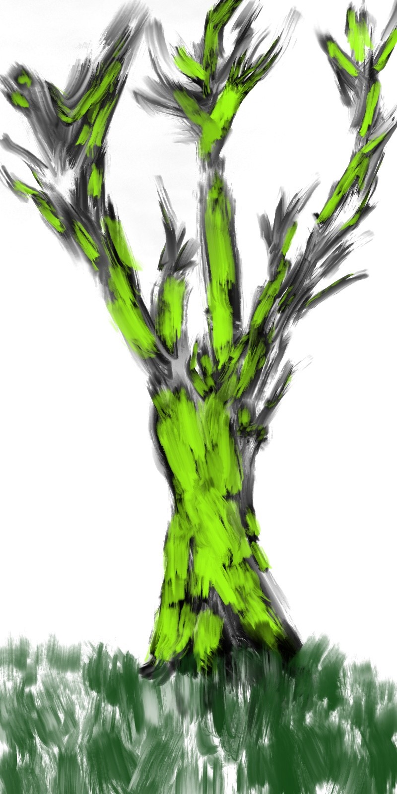 Weird tree! by huyartstudio1429 on DeviantArt