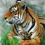 Mother's Love - Colored Pencil Drawing