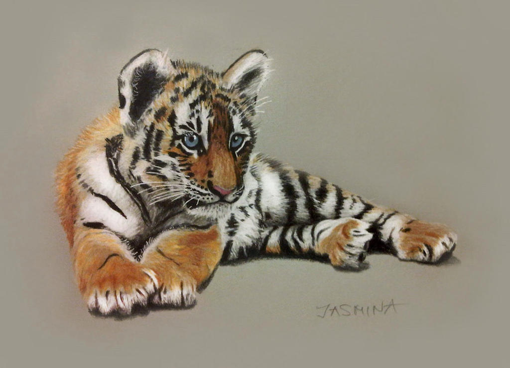 Tiger Cub - Colored Pencils Drawing by JasminaSusak