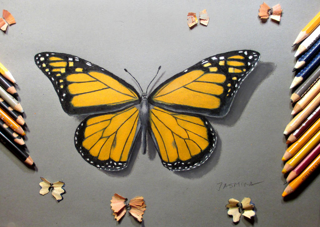 Butterfly in colored pencil