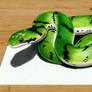 3D Colored Pencil Drawing of Snake