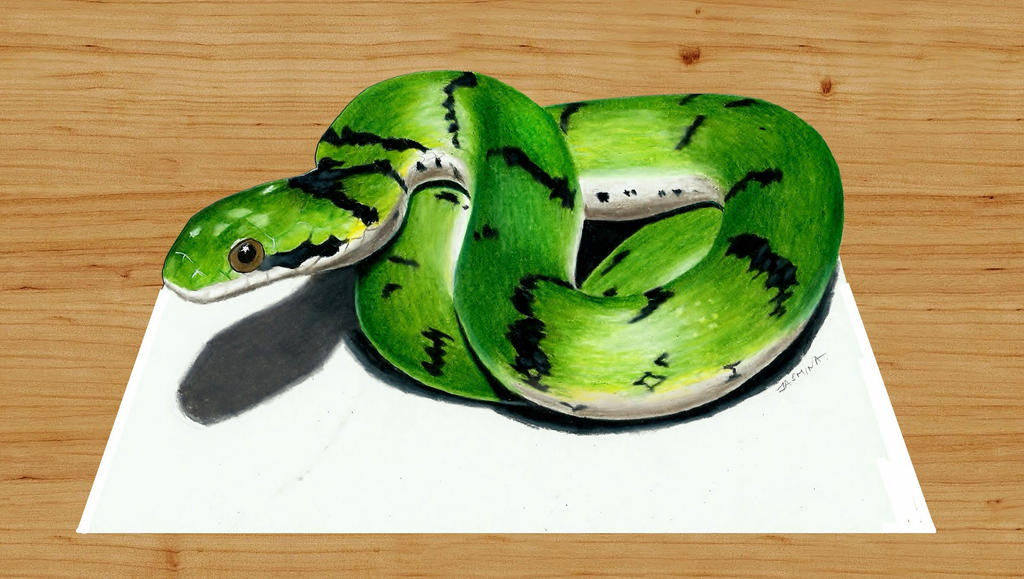 3D Colored Pencil Drawing of Snake