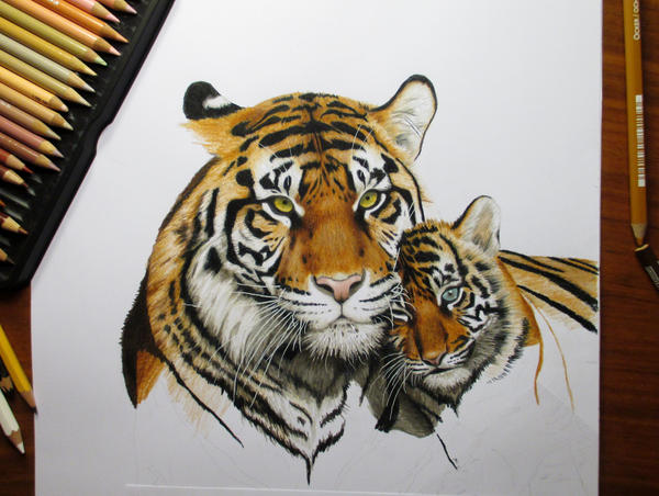 Work in progress: Colored pencil drawing by JasminaSusak on DeviantArt