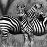 Zebra Family - Graphite Drawing