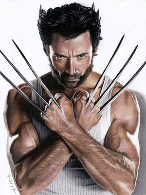 Drawing Wolverine by JasminaSusak