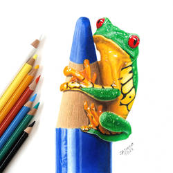 Colored pencil drawing: a Frog on a Colored Pencil