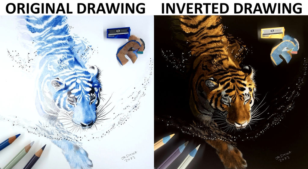 Inverted colored pencil drawing: a Swimming Tiger by JasminaSusak on ...