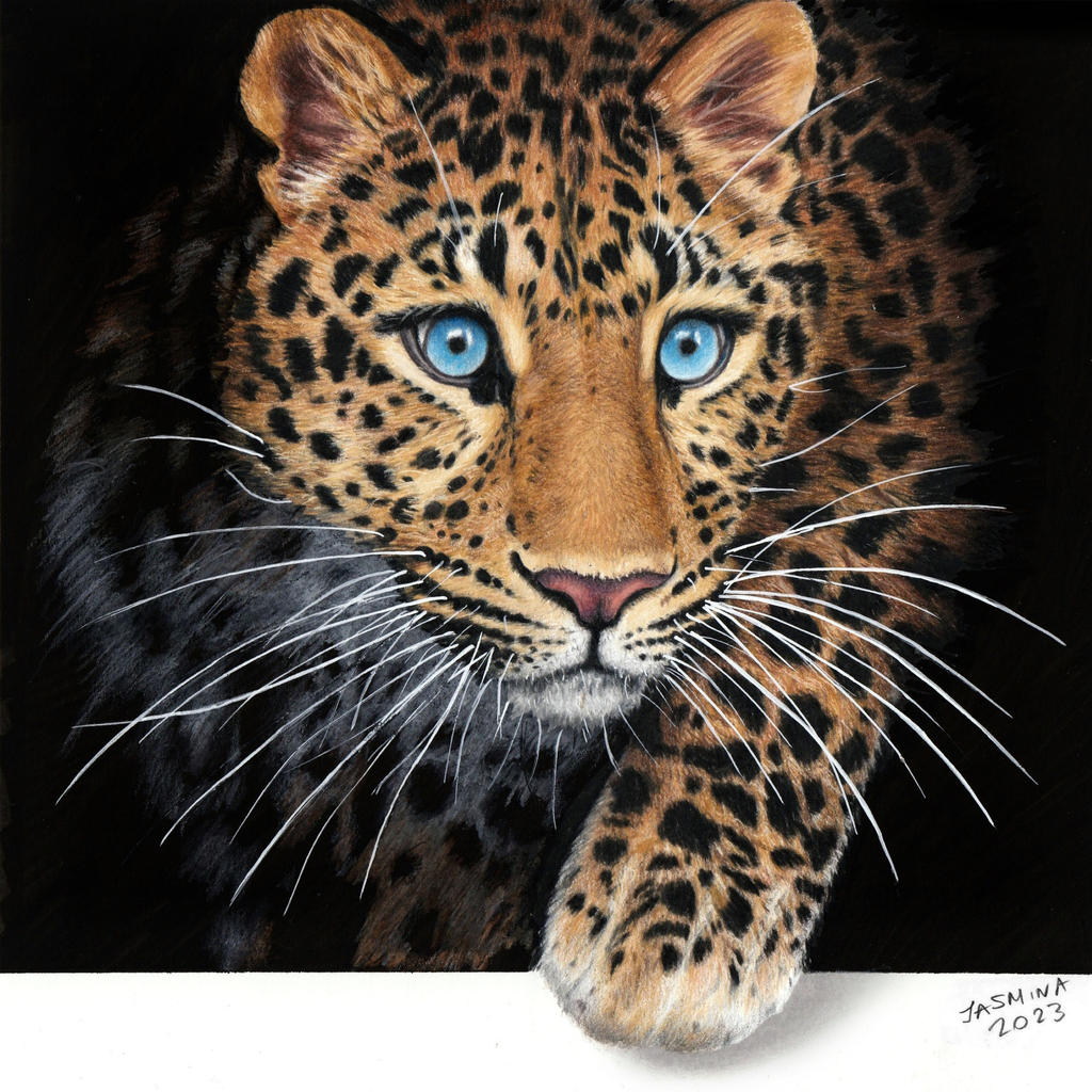 Leopard Drawing In Color Watercolor Leopard Stock Illustration