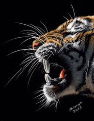 Inverted colored pencil drawing: a Hissing Tiger