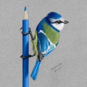 Colored Pencil Drawing: a Bird On a Colored Pencil