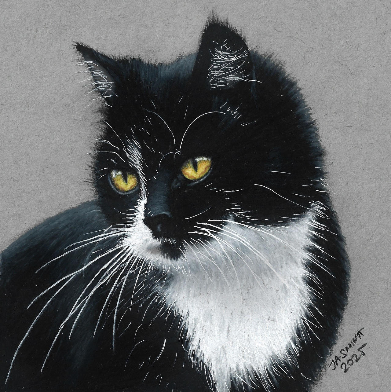 Colored Pencil Drawing Of A Tuxedo Cat By JasminaSusak On DeviantArt colored-pencil-drawing-of-a-tuxedo-cat-by-jasminasusak-on-deviantart