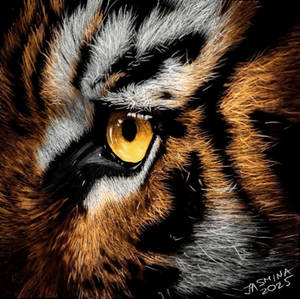 Inverted Colored Pencil Drawing: a Tiger's Eye