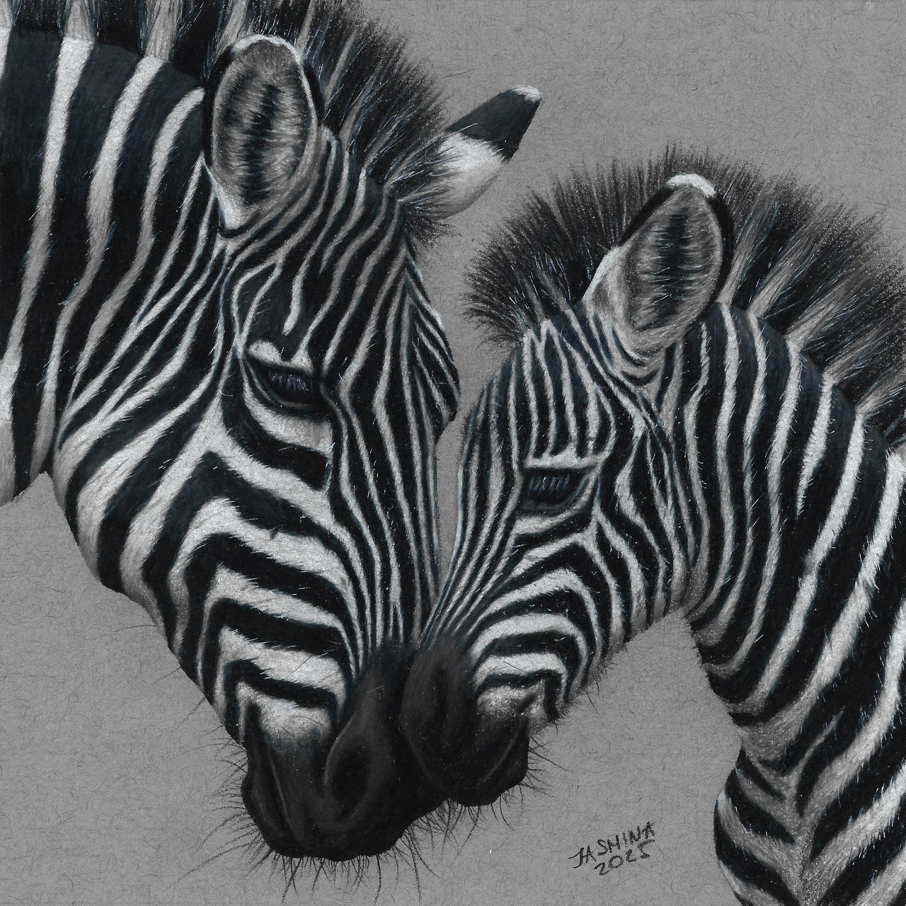 Colored Pencil Drawing: Zebra and Her Foal