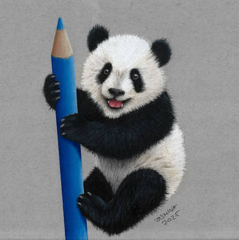 Colored Pencil Drawing of a Panda Cub on a Pencil