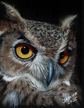 Colored Pencil Drawing of an Owl on BLACK PAPER