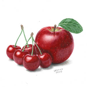 Colored Pencil Drawing: Cherries and an Apple