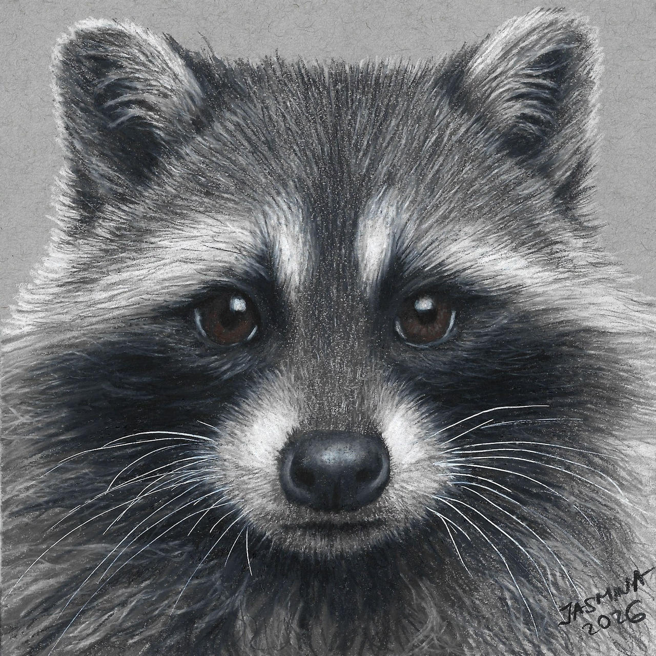 Colored Pencil Drawing of a Racoon