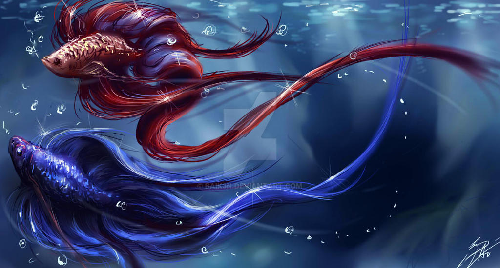 Two Fish Beta Ink BETA FISH by BaIK3N on DeviantArt