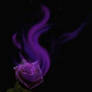 the purple rose