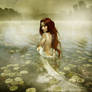 Lady of the lake