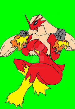 Blaziken Pokemon Fem