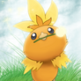 255 - Torchic