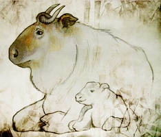 Sichuan Takin w/ Calf Sketch