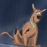 Scooby Doo