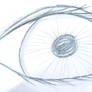 Eye