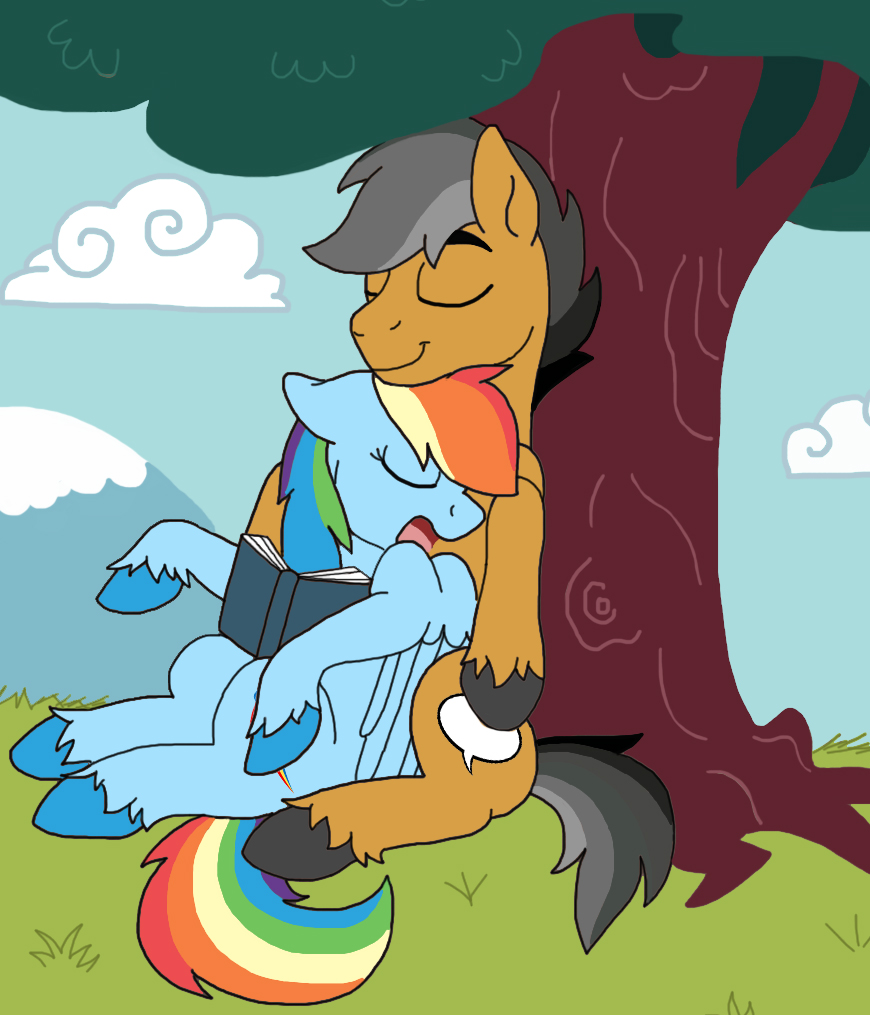 Quite An Adventure (Rainbow Dash x Quibble Pants)