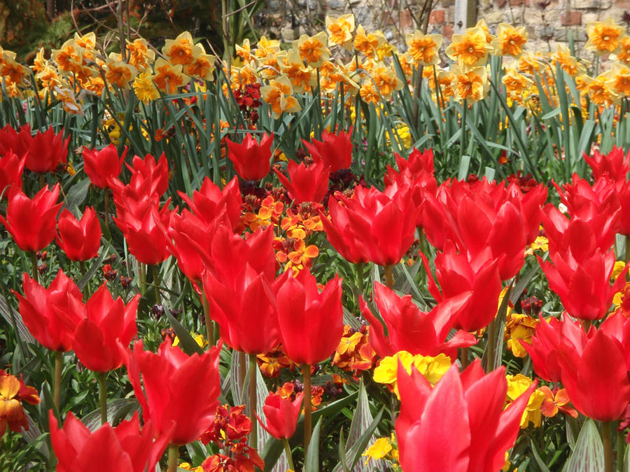 Color Do Springtime colours of springtime by teenyb on DeviantArt