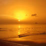 antiguan sunset 2,,,,,,