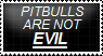 Pitbulls Are NOT Evil! -Stamp