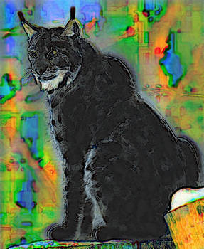 black lynx