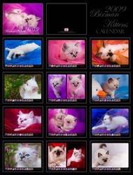 Birman Kittens Calendar