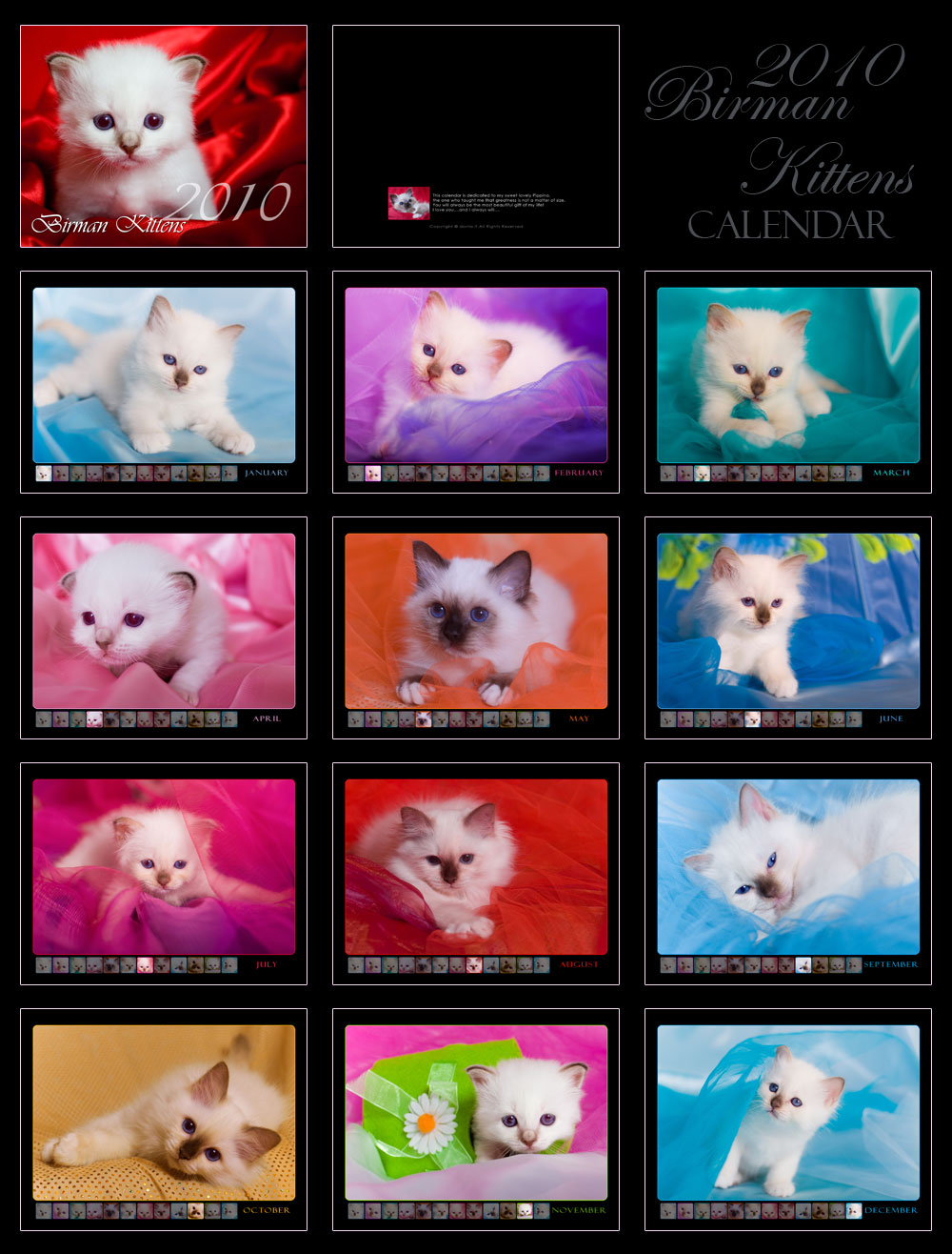 2025 Calendar Mini Birman Cat