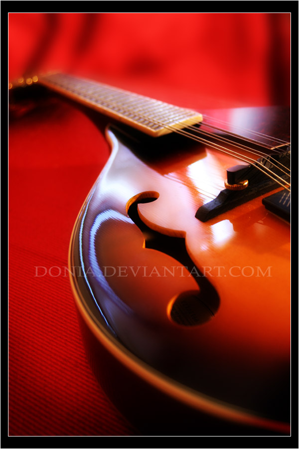 Mandolin