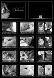 .:Cats Calendar:.