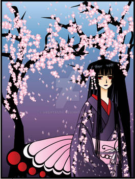 Xxxholic Sakura