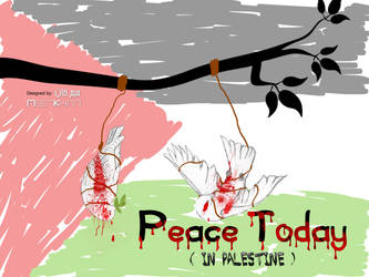 Peace Today in Palestine