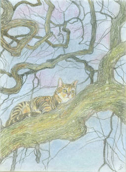 Cat in Tree, Katze im Baum
