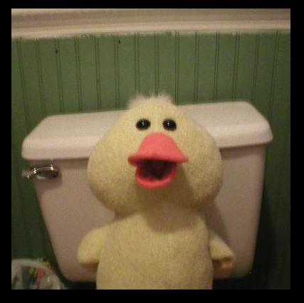 Ducks need to use toilets too