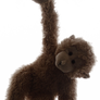 Cheeky Monkey Teddy